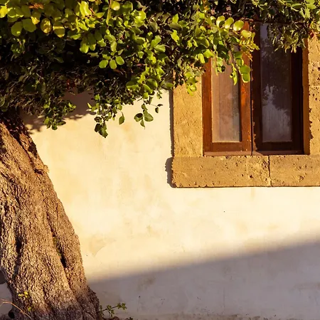 Boutique Terrazza Aurea *